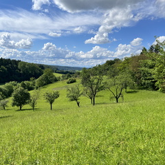 24-05-18 16-11-58 9472